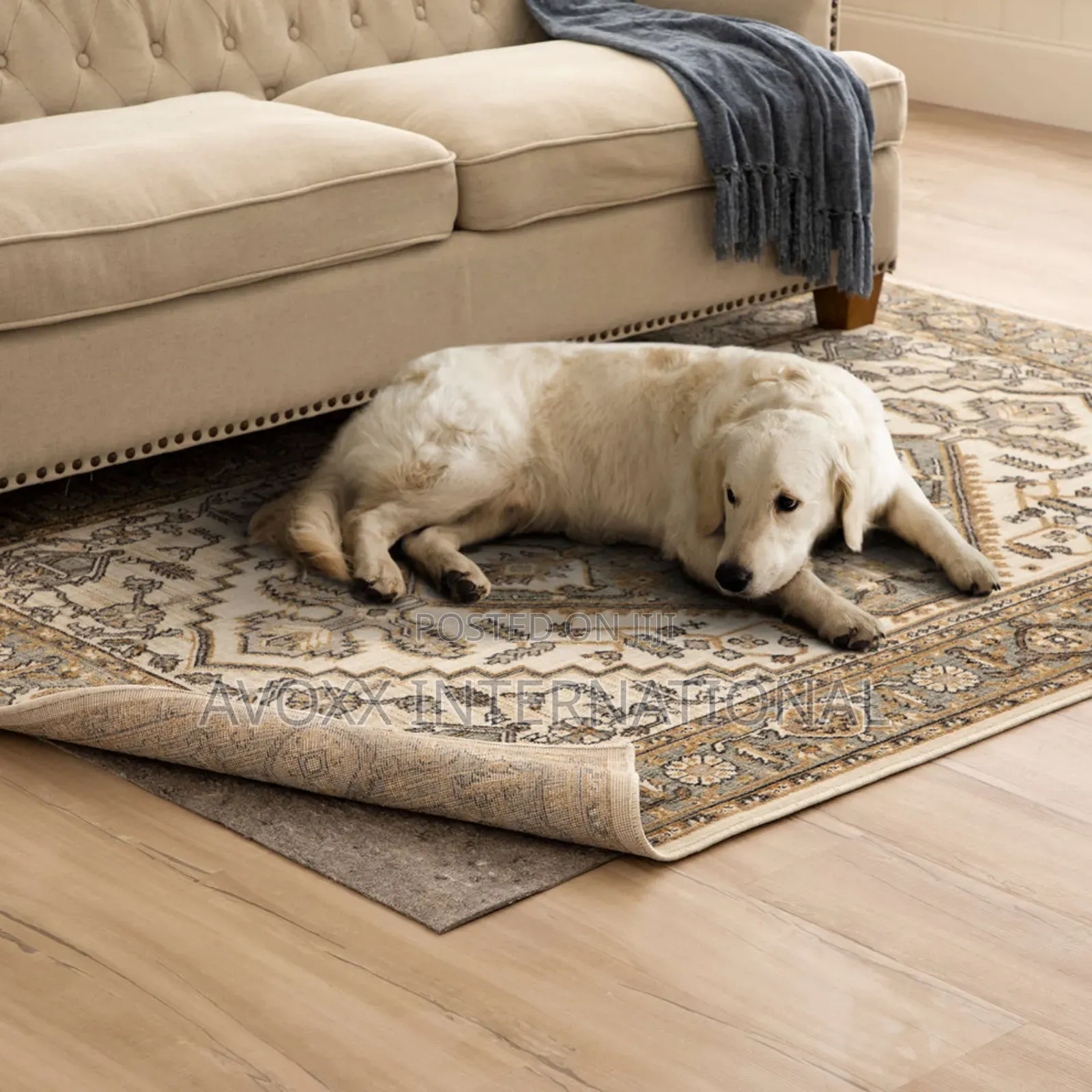 All Pet Rug Pad
Reversible Pet Proof Rug Pad 60in X 84in