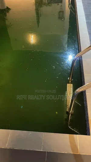 Reliable Pool Cleaning Water Treatment for Sparkling Pools
