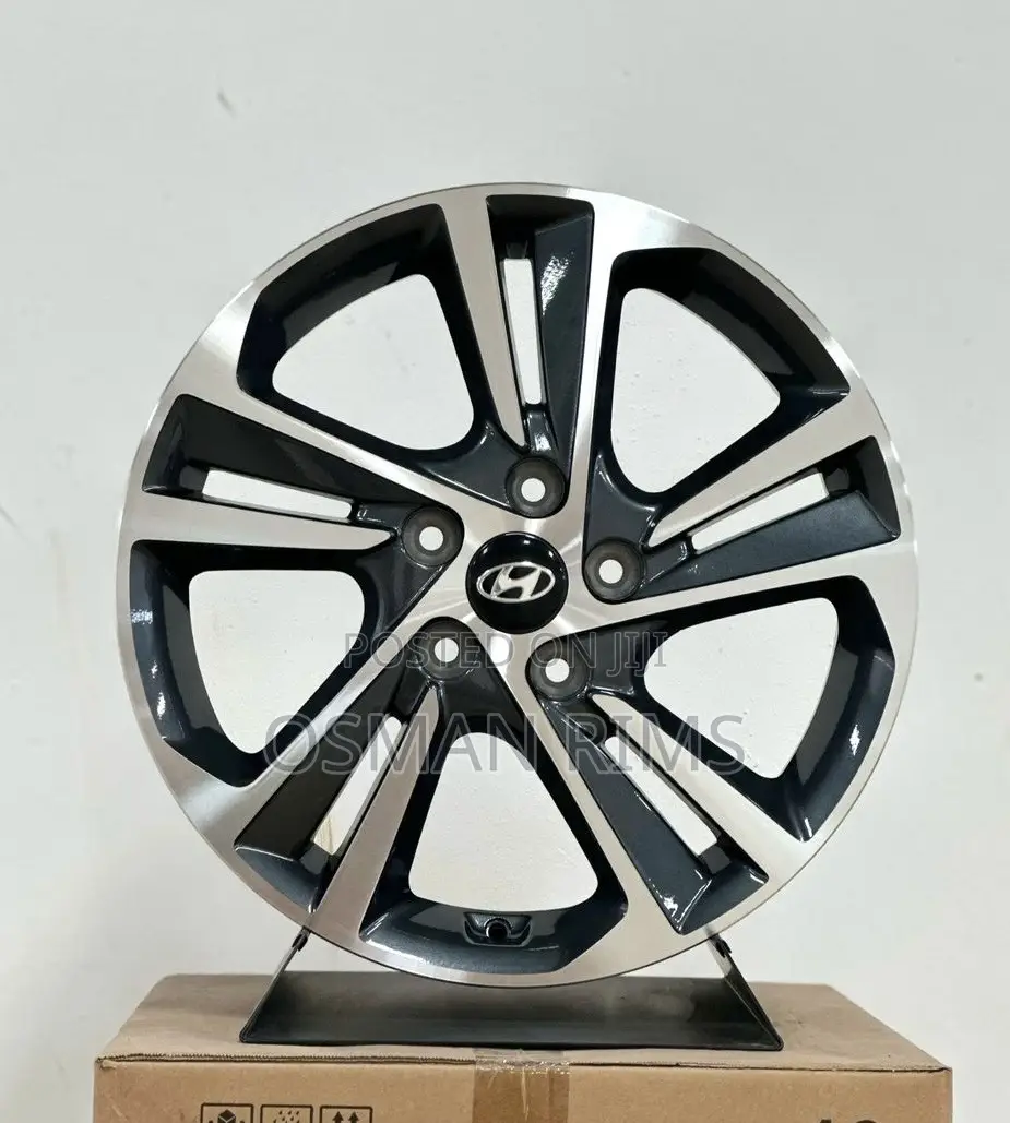 Elantra Rims and Sonata Rim
