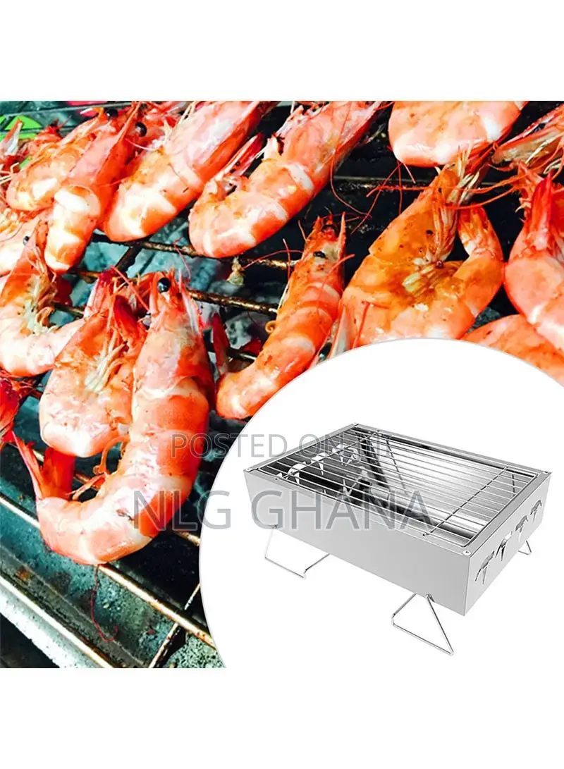 Mini BBQ Grill Charcoal for Camping Outdoor Picnic