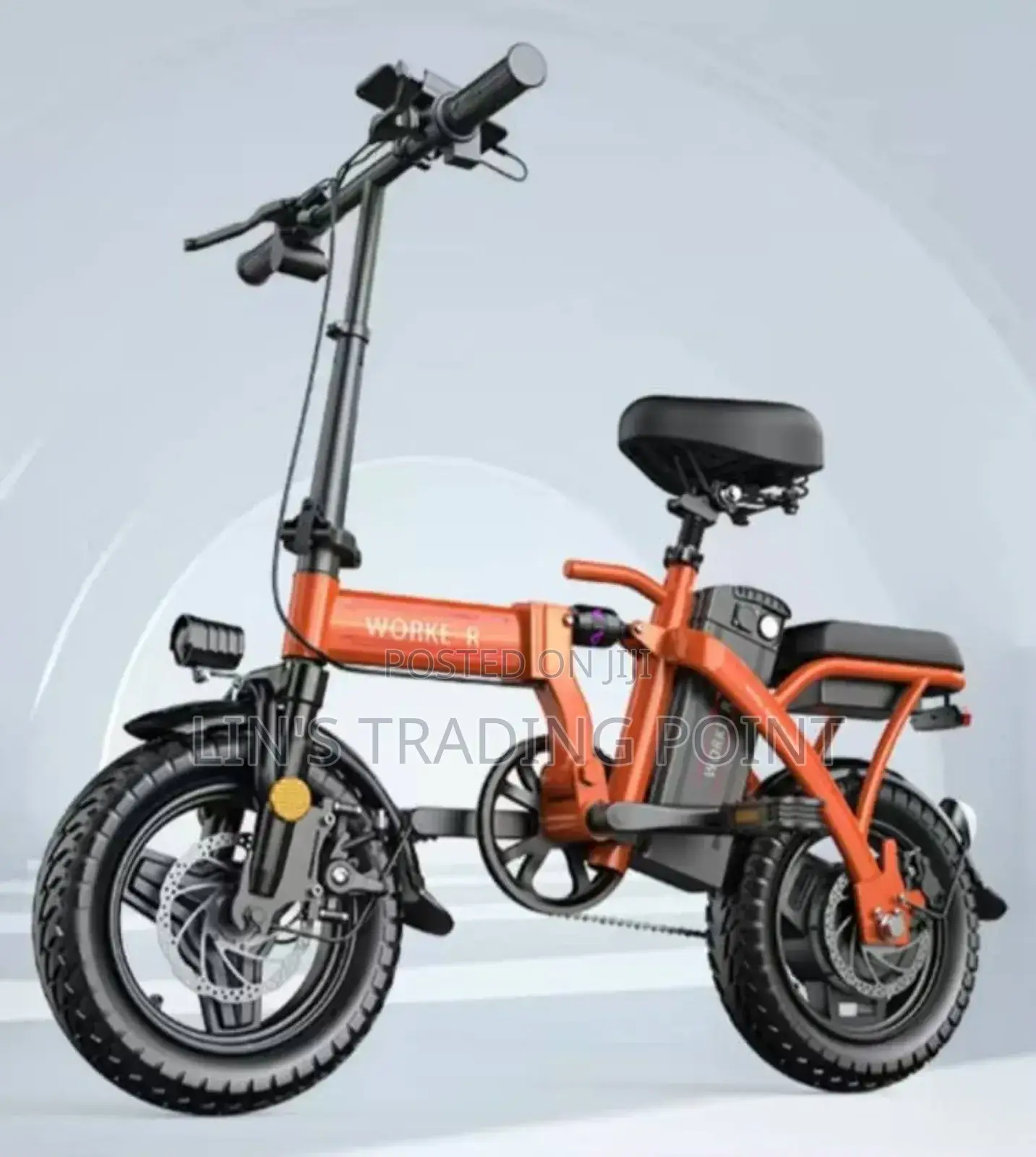 Folding Electric Bike