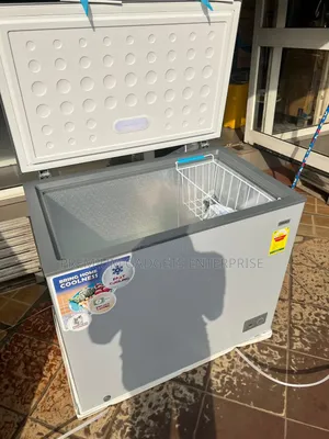 Premium Promotional Nasco 251l Chest Freezer Nas-300