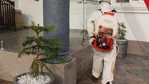 Cleantex Services