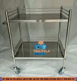 Medicine Trolley (2 Steps Stainless)