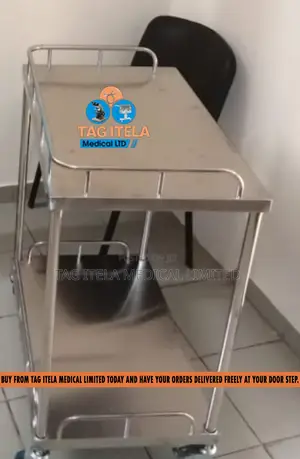 Medicine Trolley (2 Steps Stainless)