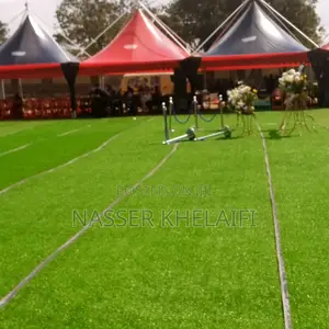 Marquee Canopy