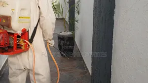 General Pest Fumigation With Cleantex