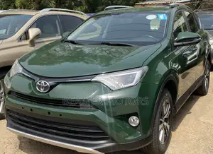 Toyota RAV4 LE AWD (2.5L 4cyl 6A) 2017 Green