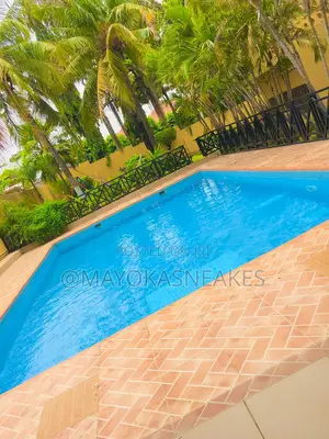Swimming Pool Cleaning and Attendant