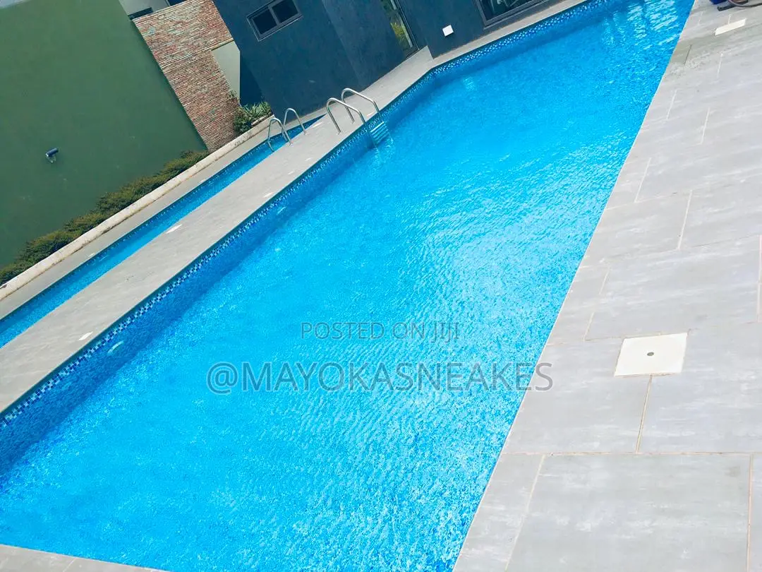 Swimming Pool Cleaning and Attendant