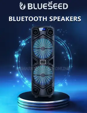 12inch Bluetooth Speaker With Wireless Mic, Rechargeable