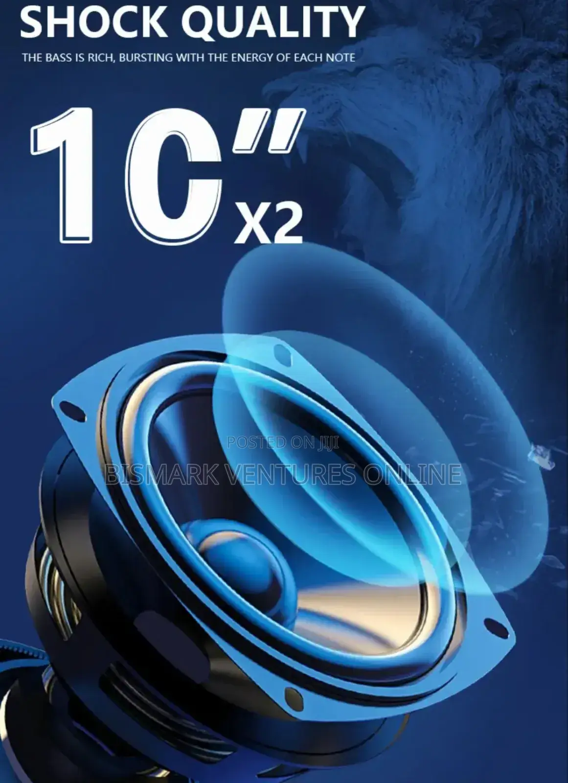 12inch Bluetooth Speaker With Wireless Mic, Rechargeable