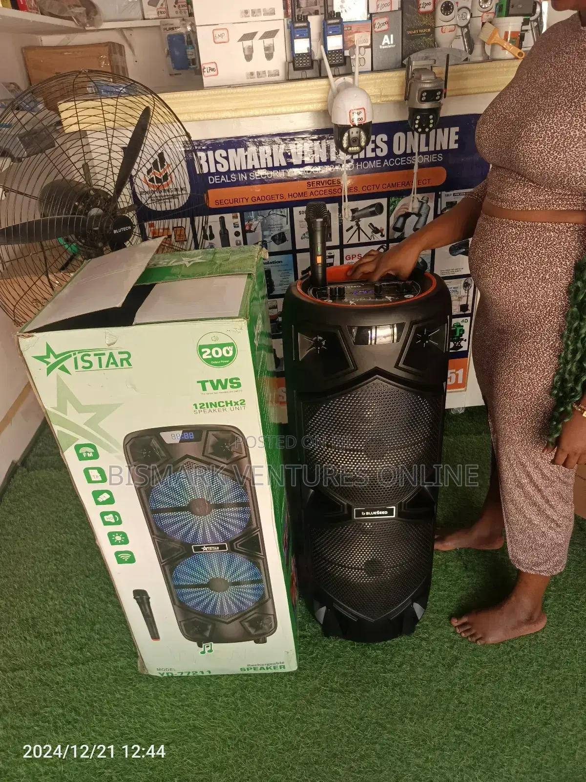 12inch Bluetooth Speaker With Wireless Mic, Rechargeable