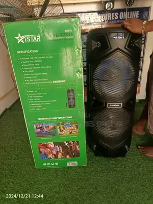 12inch Bluetooth Speaker With Wireless Mic, Rechargeable
