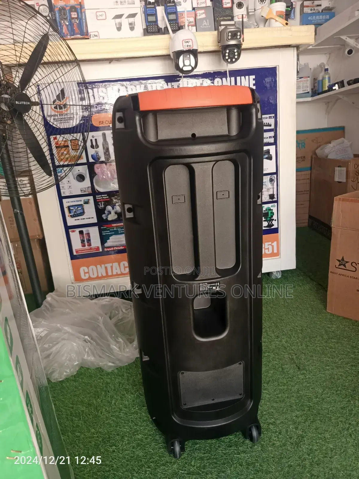 12inch Bluetooth Speaker With Wireless Mic, Rechargeable
