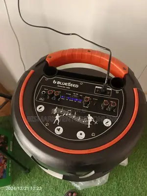 12inch Bluetooth Speaker With Wireless Mic, Rechargeable