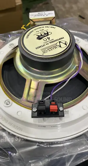Pa Ceiling Speaker