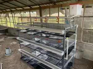 Layer Cage