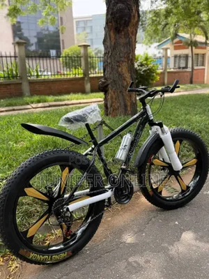 Black Adult Bicycle ST
