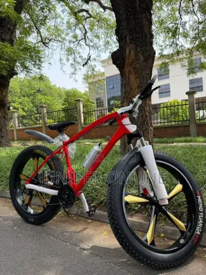 Red Adult Bicycle Or