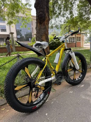 Current Modem Adult Bicycle