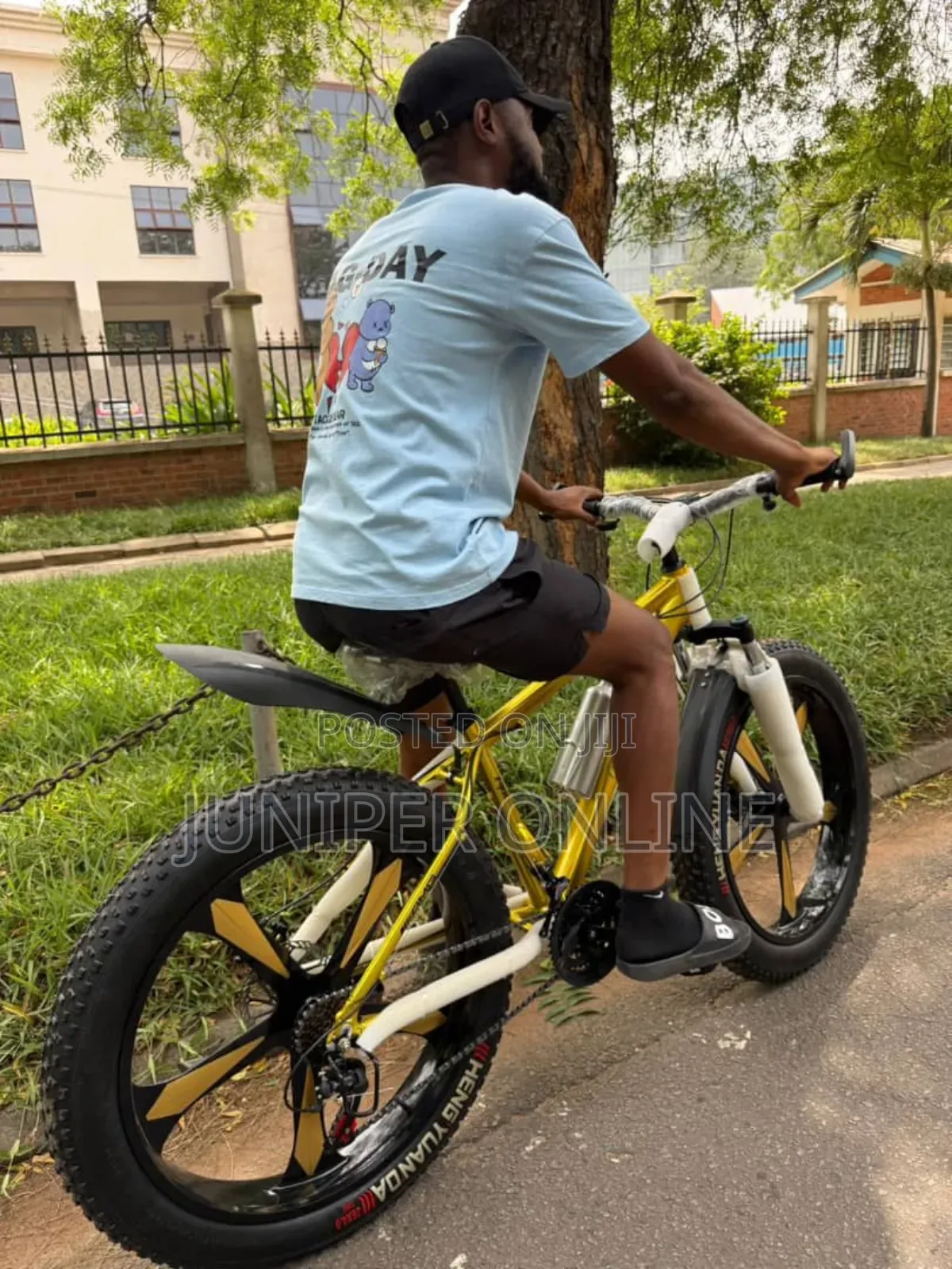 Current Modem Adult Bicycle