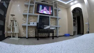 Mini Security Camera
