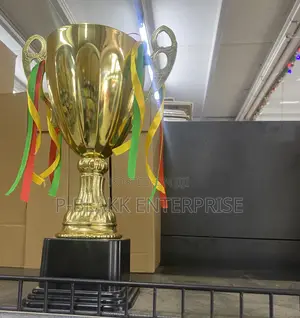 Award Trophy/ Cup