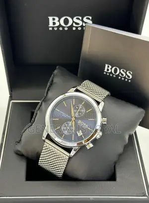 Boss Stainless Steel Watch