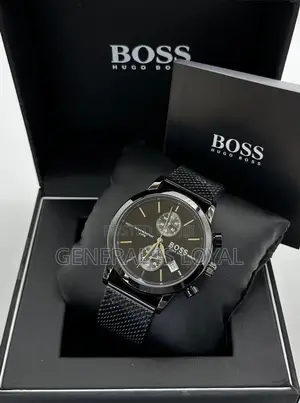 Boss Stainless Steel Watch