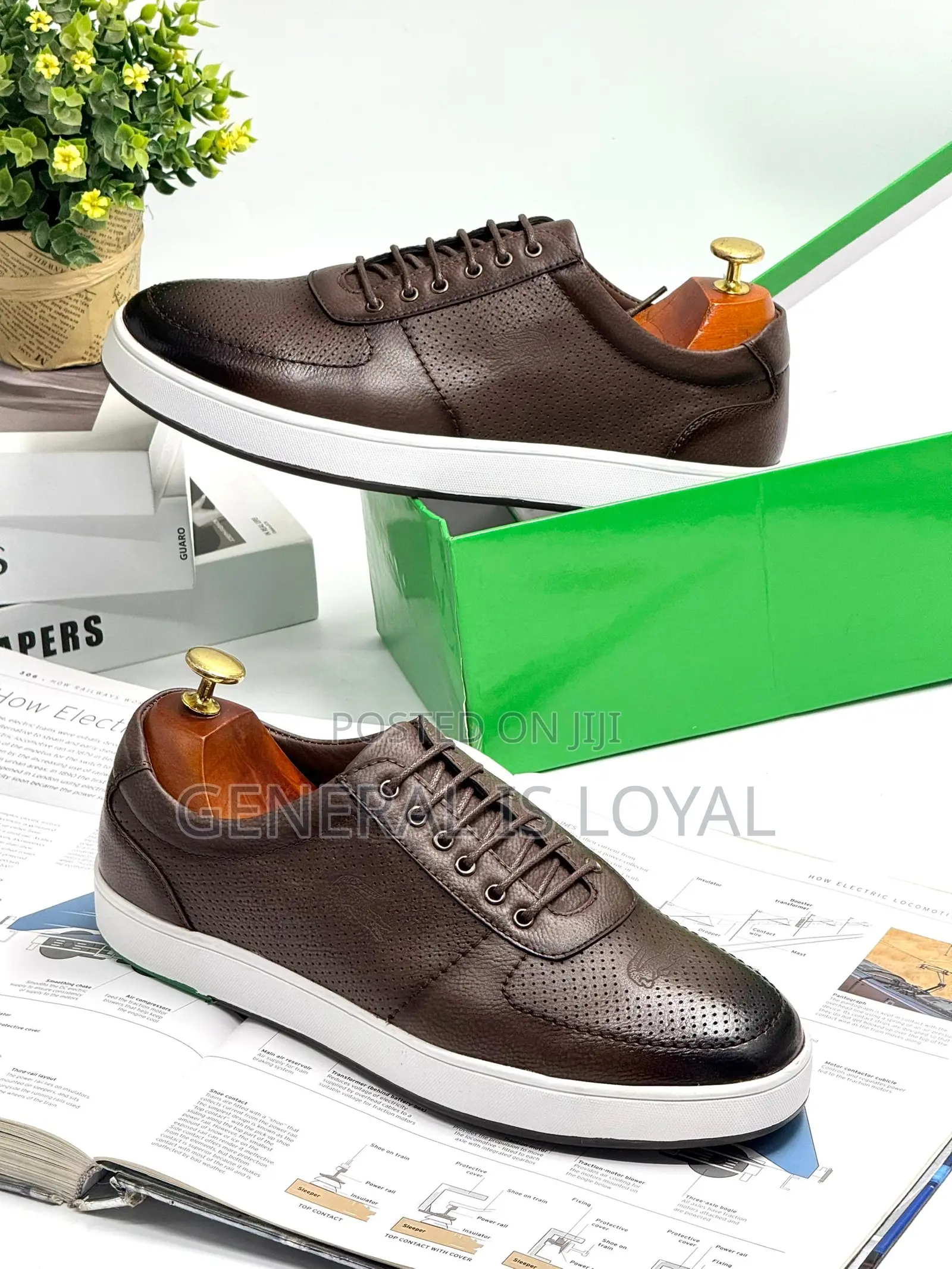 Lacoste Footwear