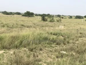 Land in a Thriving Neighbourhood Just for You, "Dominase"