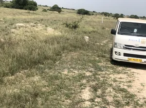 Prime Land in the Heart of a Developed Community, Dominase