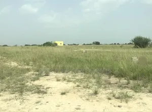 Start Building Immediately, Ready to Build Plot, Tsopoli