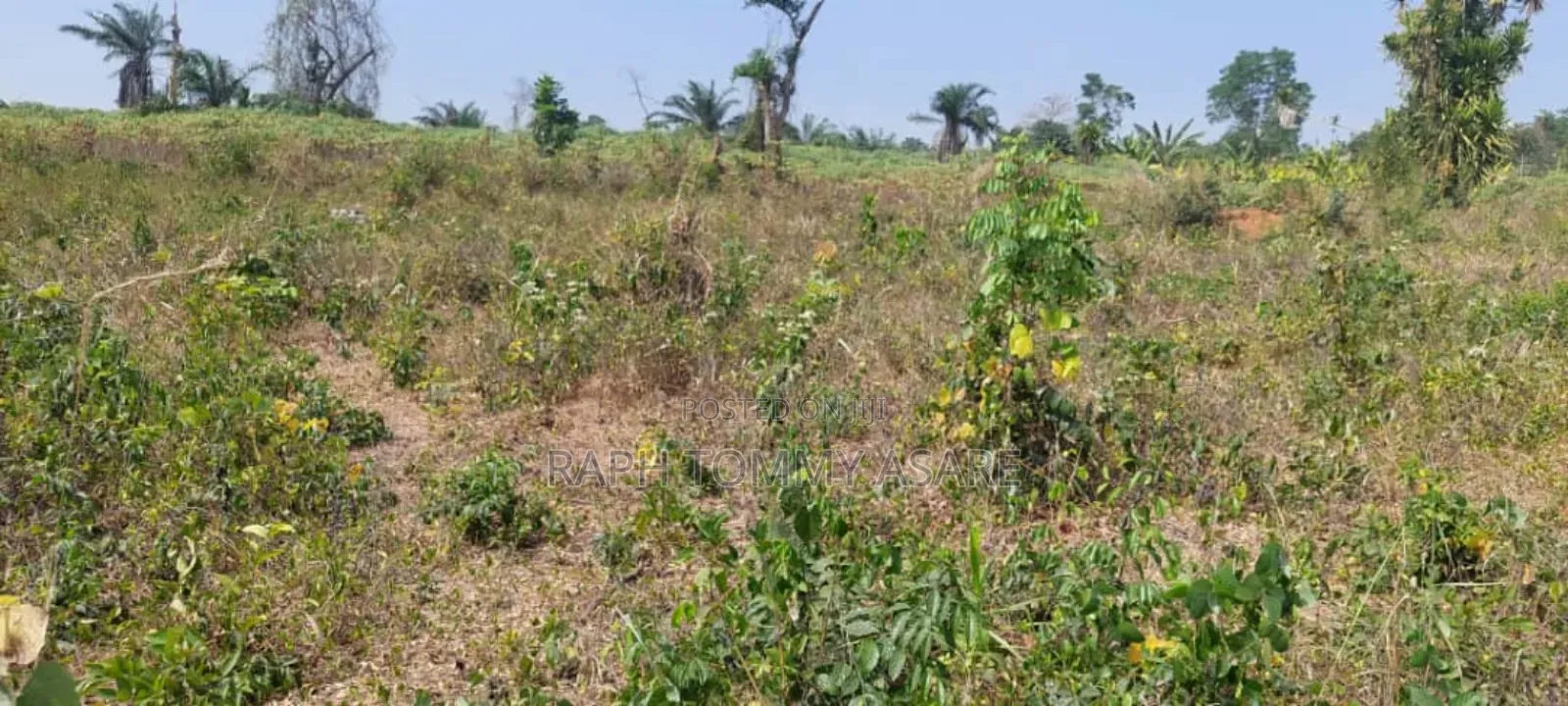 Plot of Land With Gurnue Documents for Sale