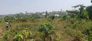Plot of Land With Gurnue Documents for Sale