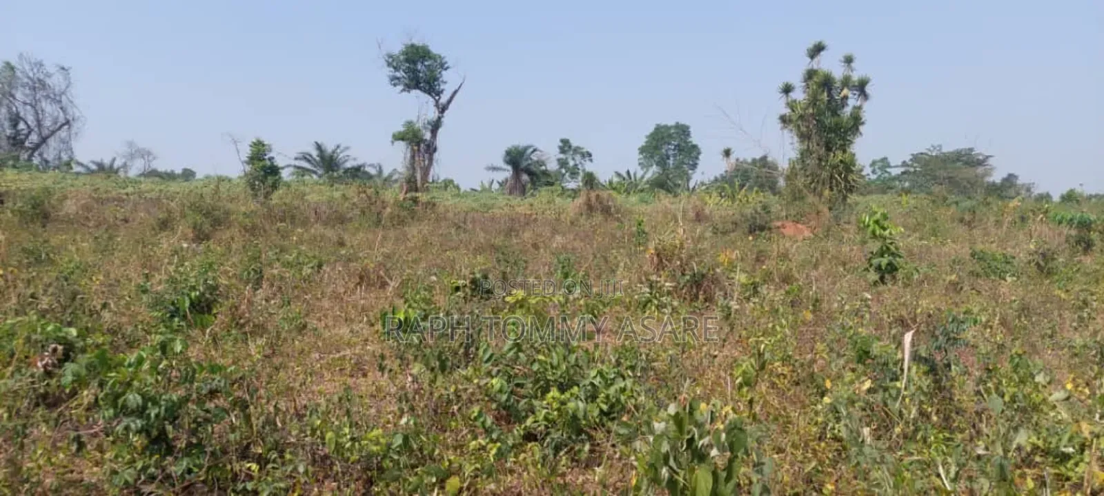 Plot of Land With Gurnue Documents for Sale