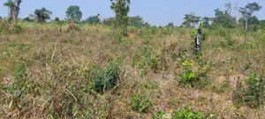 Plot of Land With Gurnue Documents for Sale