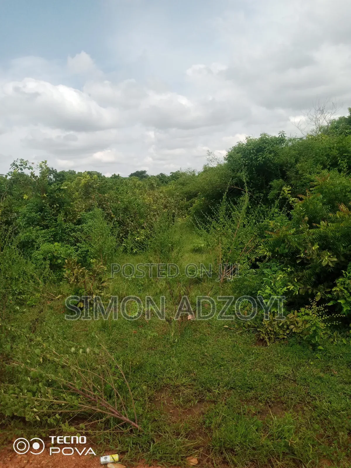 1000 Acres of Cocoa Land for Sale