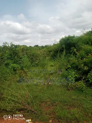 1000 Acres of Cocoa Land for Sale