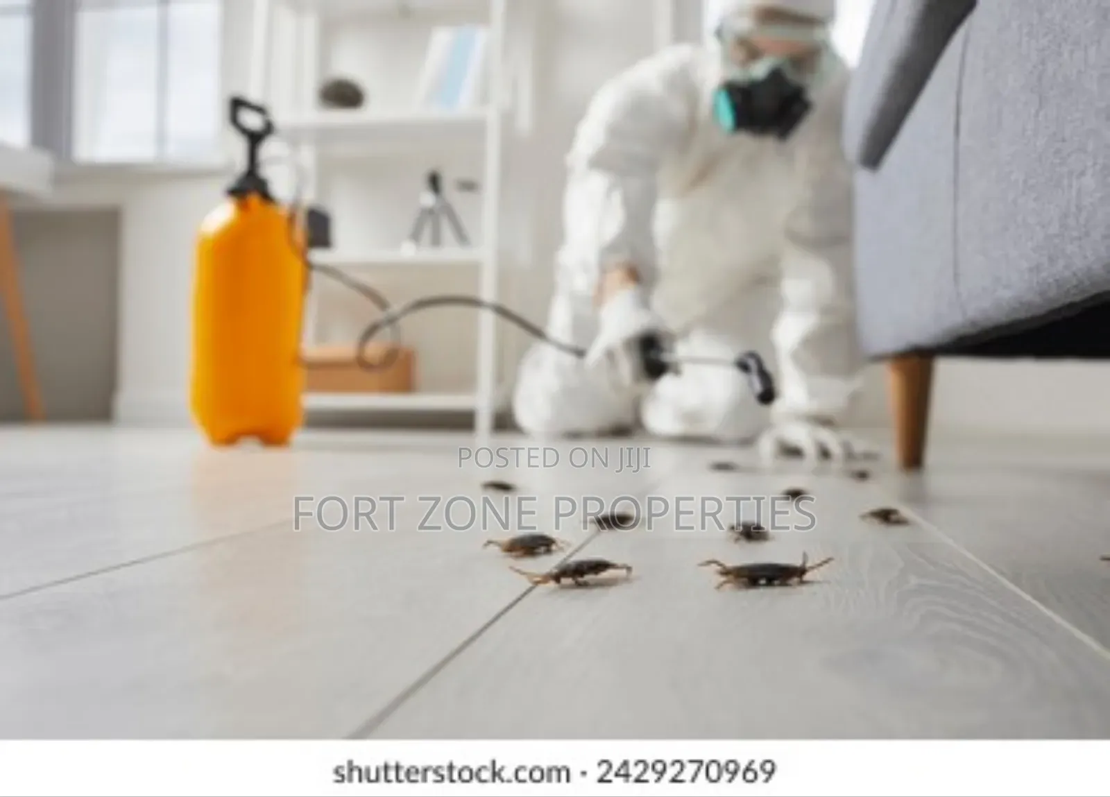 No More Pest Fumigation and Disinfection