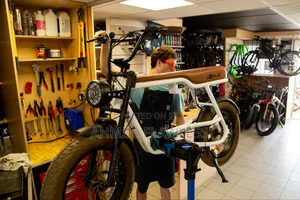 Electric Bicycle Repair