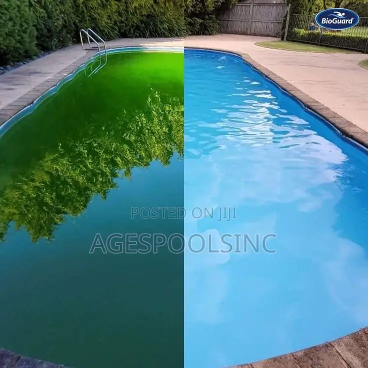 Swimming Pool Cleaning