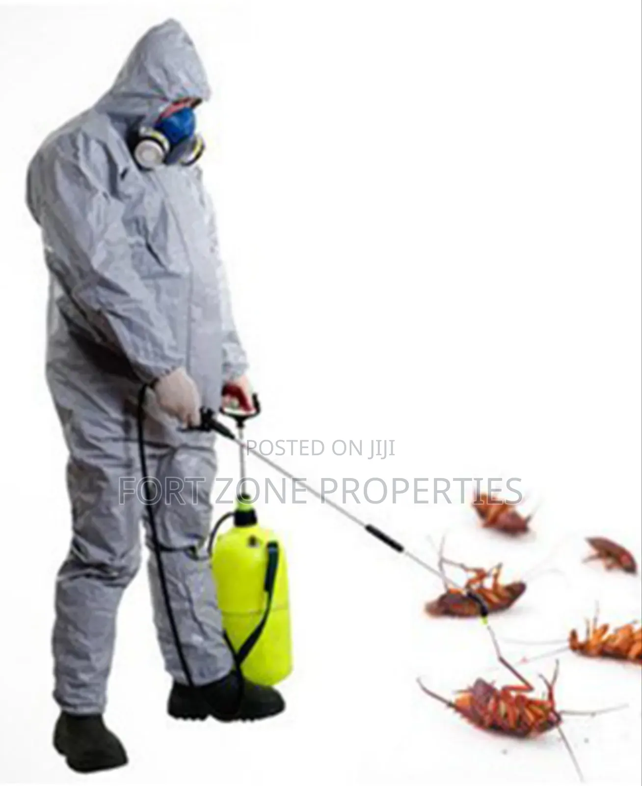 Best Bedbug Fumigation Service in All Parts Pf Ghana