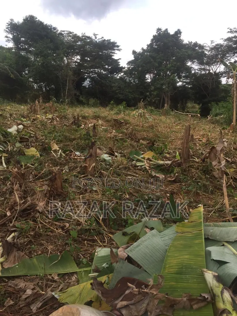 13 Acre Begoro Farmland