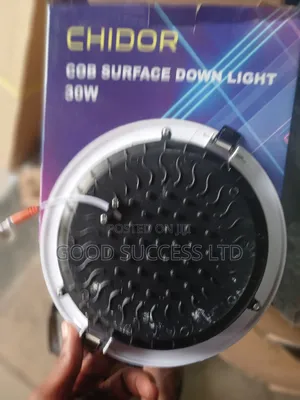 30w Ceiling Light