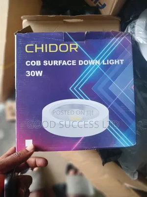 30w Ceiling Light
