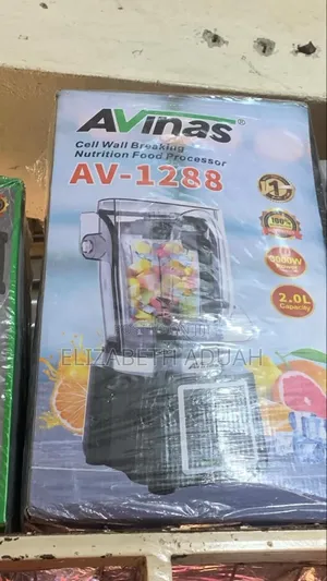 Avinas Commercial Blender