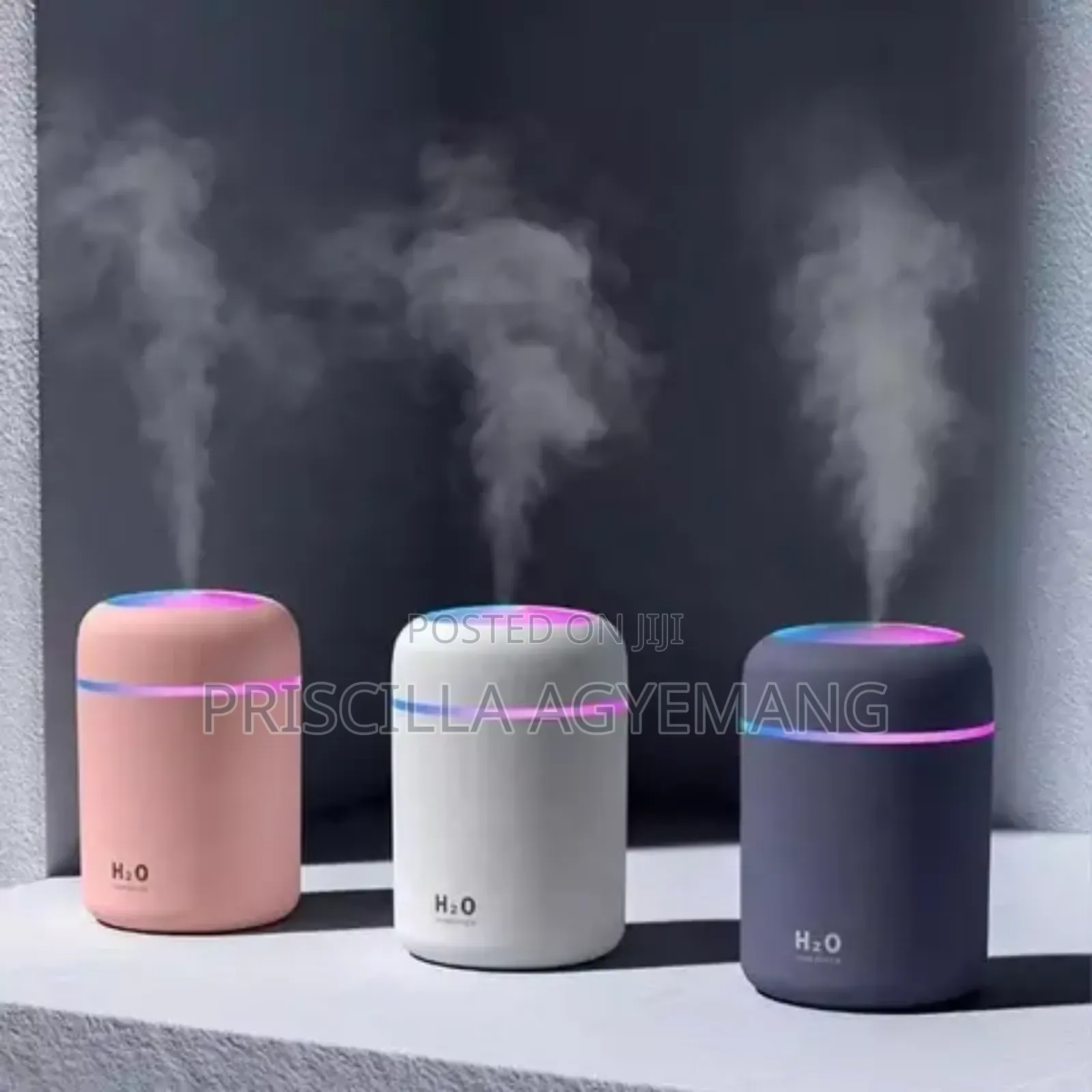Mini Diffuser and Perfume Oils
