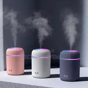 Mini Diffuser and Perfume Oils